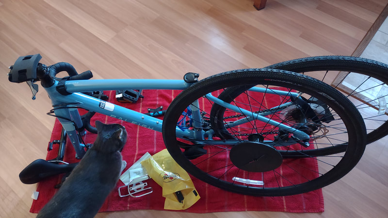 deconstructed gravel bike sitting on a red towell that's on hardwood floors. the front tire is leaning on the back tire, and the handlebars are sideways next to the fork. A grey cat is walking under the frame. there is also miscelaneous bike tools scattered on the red towell. 