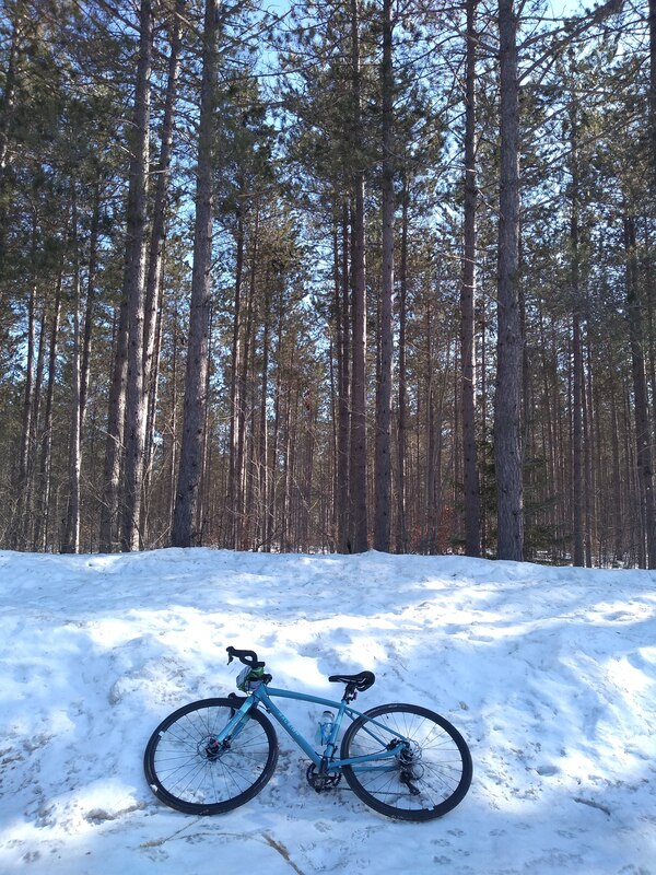 blue gravel bike leaned up on a snowbank with red pines in the background background 
